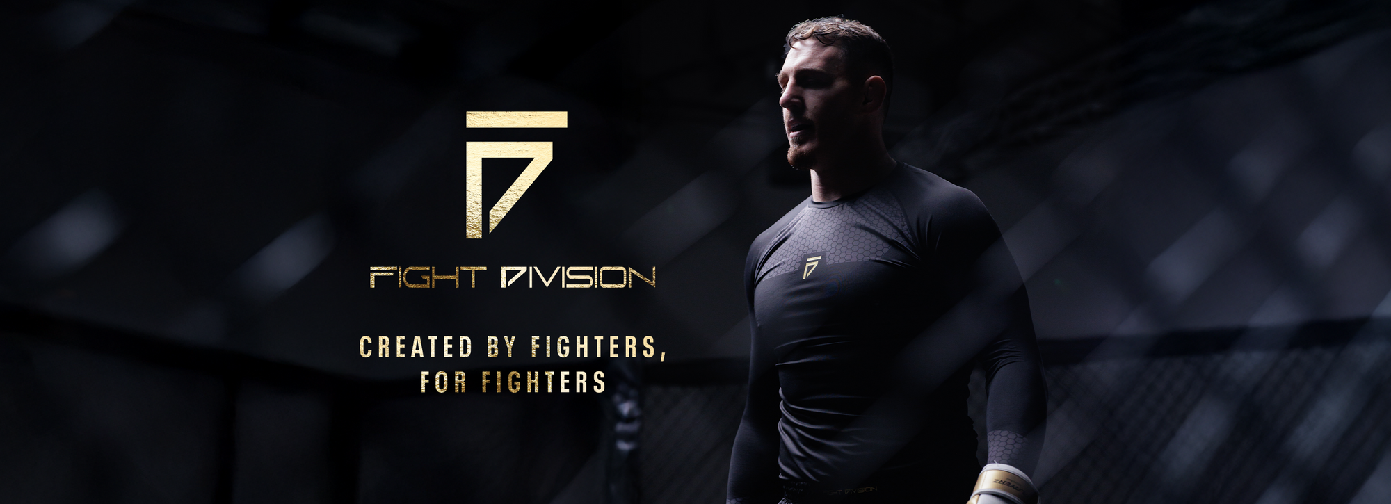 Gym King Fight Division Launch