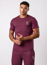 Gym King Aventus Jersey T-Shirt - Burnt Fig thumbnail