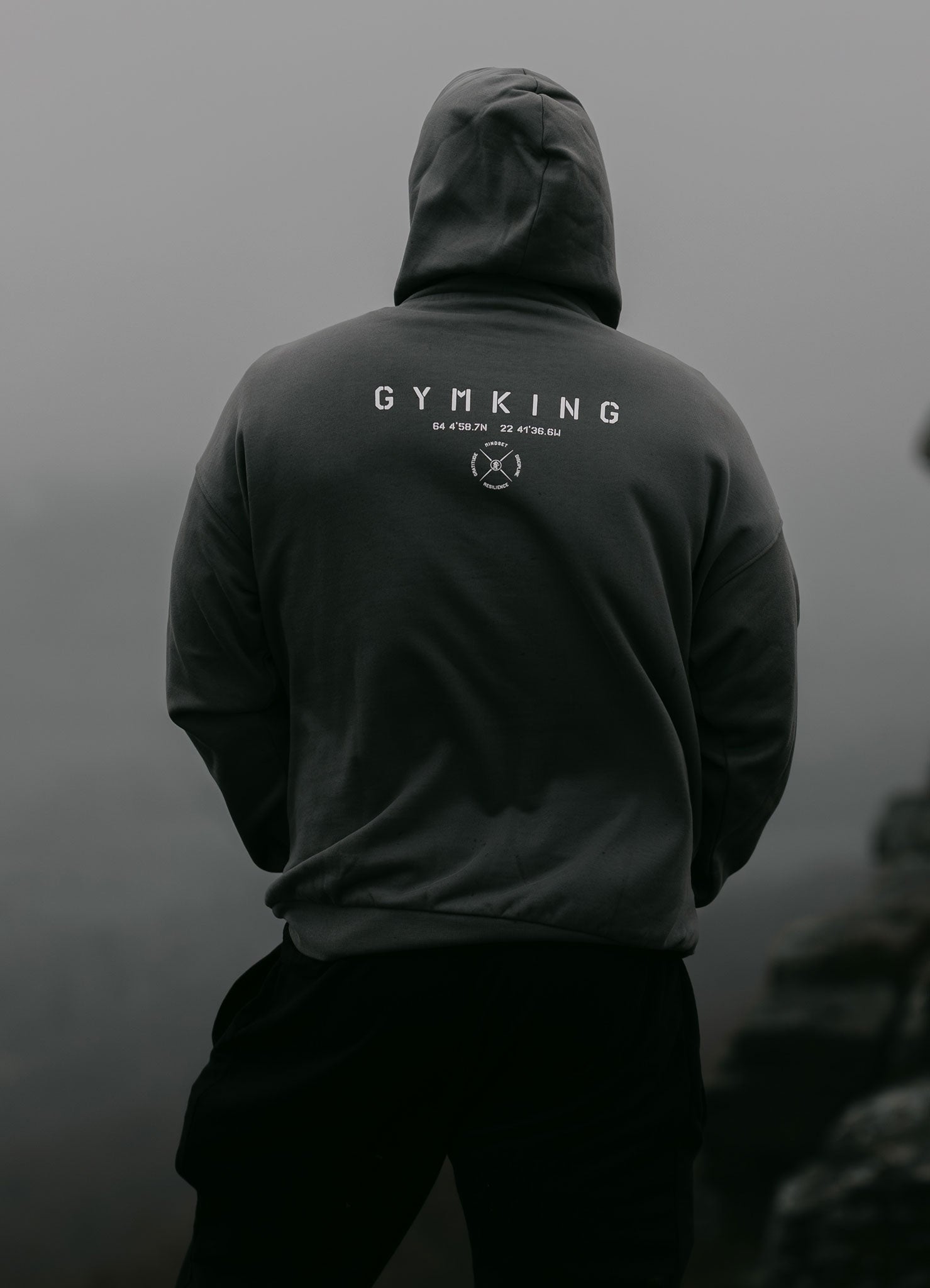 Gym King Stoic Esja Loopback Hood - Fossil Grey