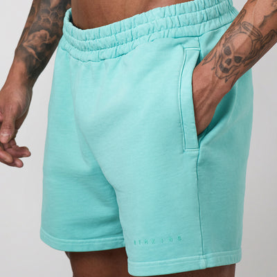 Gym King World Washed Short - Poolside Green